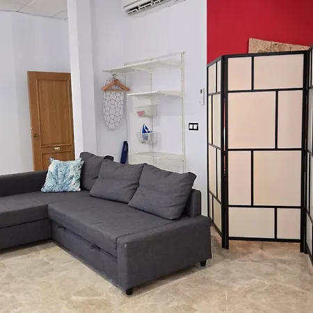 Felix Saenz Boutiques By Del Parque Flats * Malaga